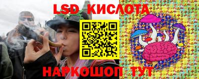 шишки Краснознаменск
