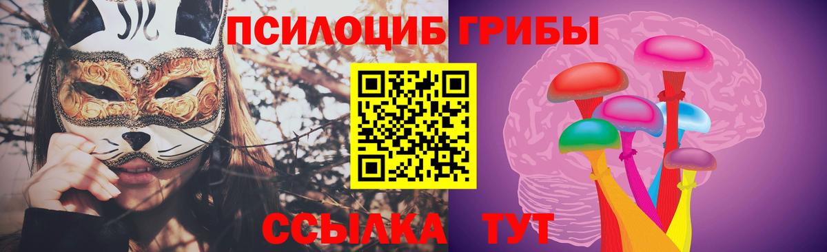 наркотики  Вход с VPN  Владивосток  Псилоцибиновые грибы GOLDEN TEACHER  Псилоцибиновые грибы прущие грибы 